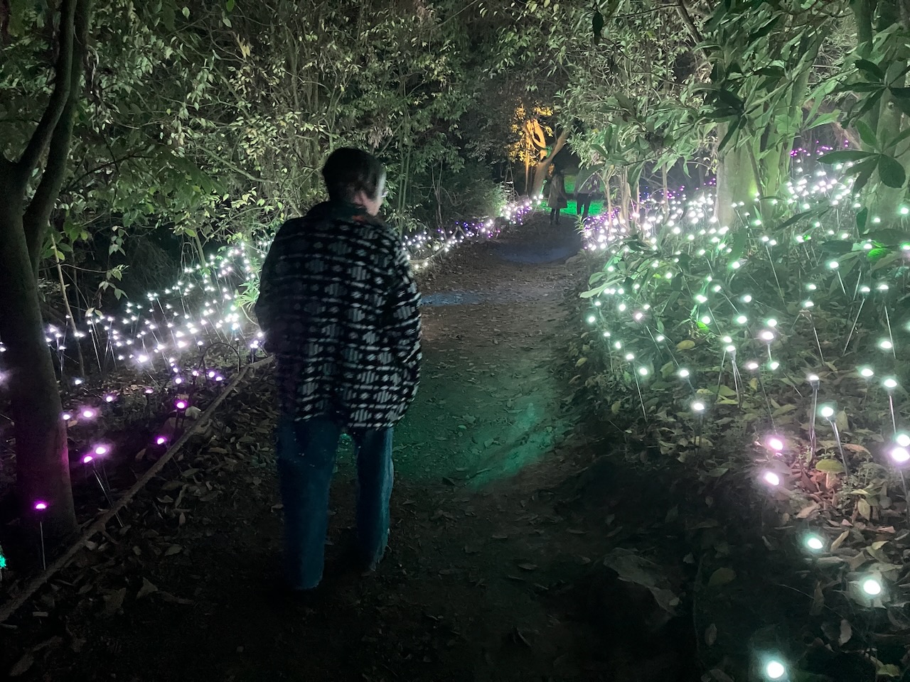 Kirsten of SDF walks on a lighted pathway in a garden